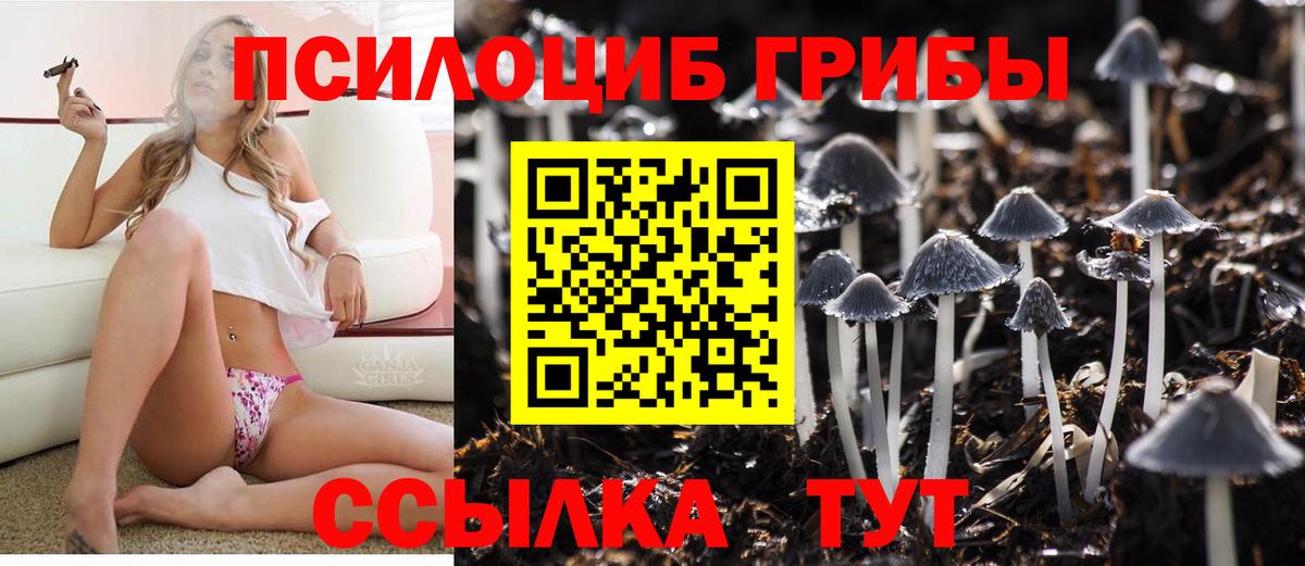 Строитель  Псилоцибиновые грибы мицелий  Вход с VPN 