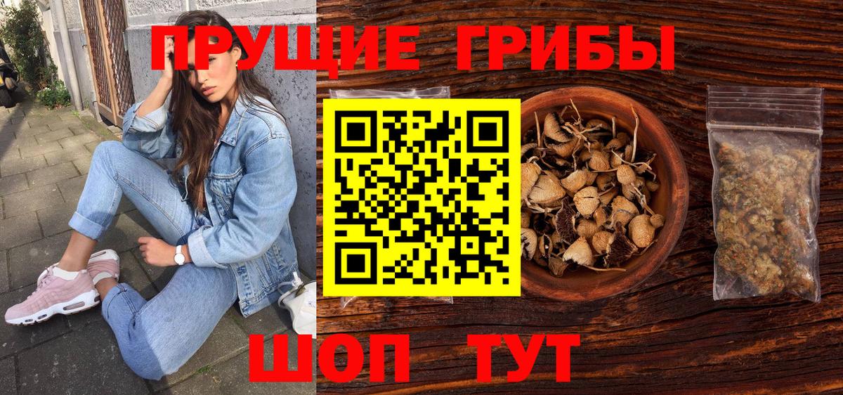 Галлюциногенные грибы Cubensis Строитель